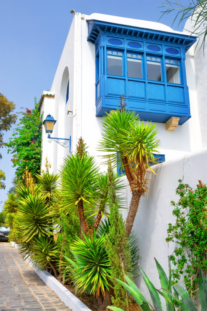 Wit huis met blauwe ramen in Sidi Bou Saïd, iconisch zicht bij aankomst met een directe vlucht naar Tunis