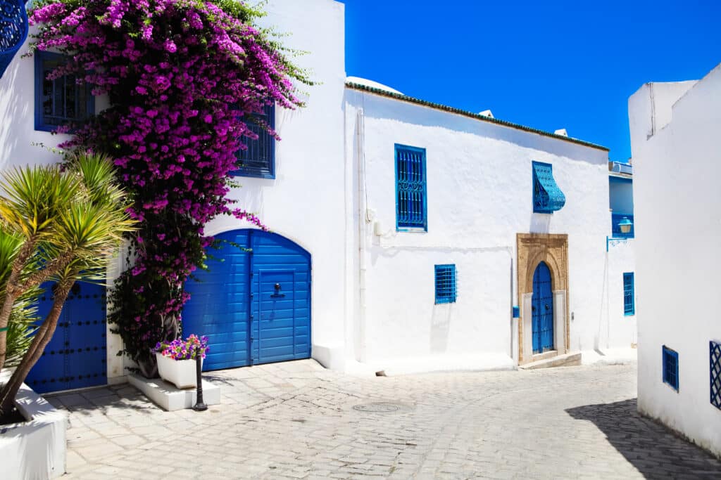 Straatbeeld van Sidi Bou Said met blauwe deuren en paarse bloemen – vliegtickets bestemming Tunesië