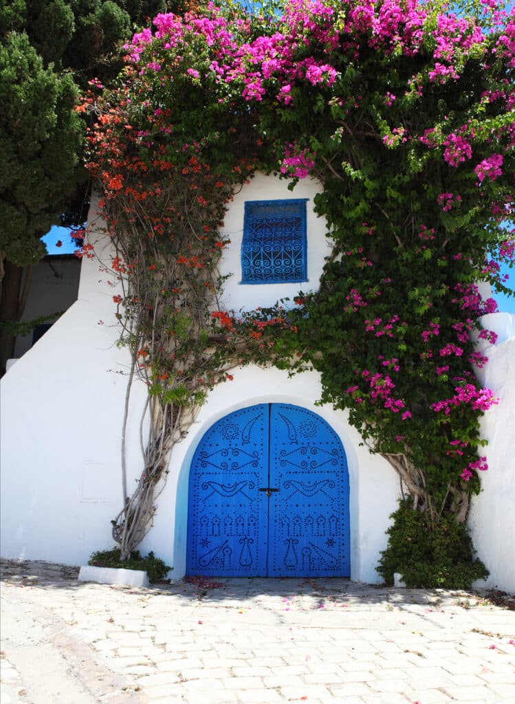 Blauwe deur in Sidi Bou Said omgeven door bougainville – vliegtickets bestemming Tunesië