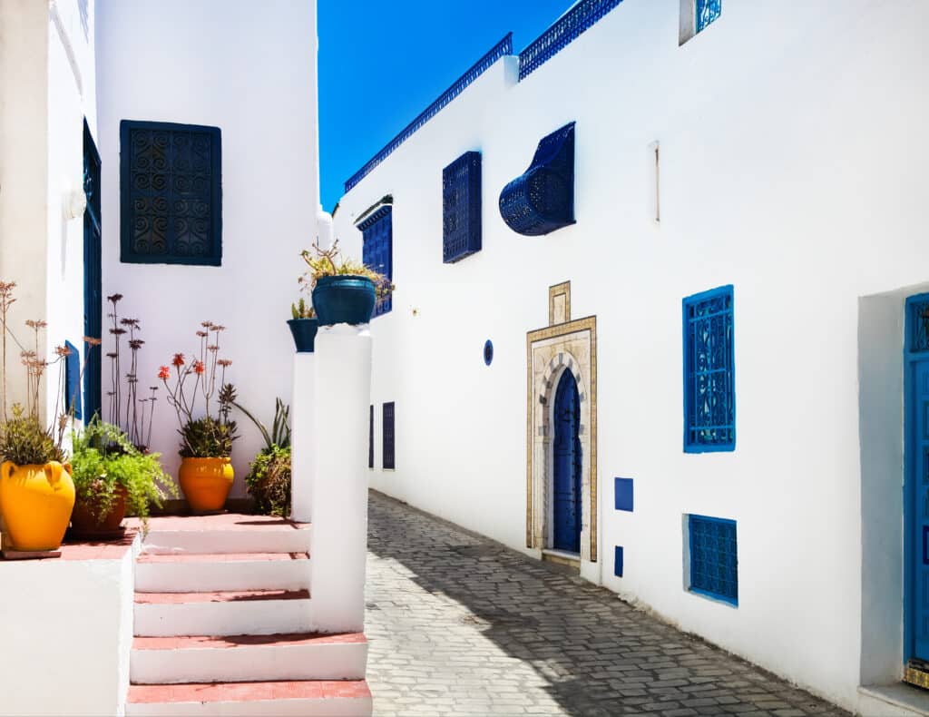 Sfeervolle witte huizen en blauwe deuren in Sidi Bou Said – vliegtickets bestemming Tunesië