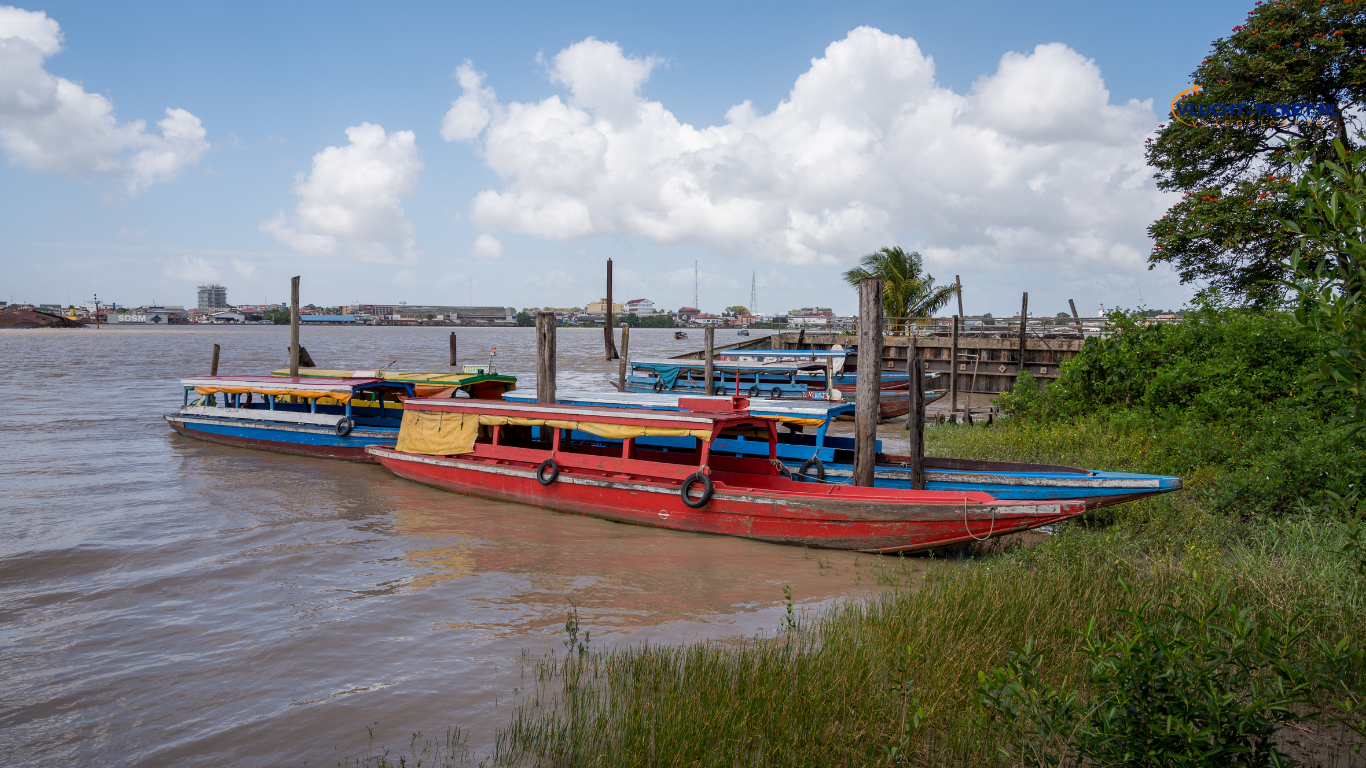 Uitzicht op de rivier en palmbomen bij Fort Zeelandia, Paramaribo.