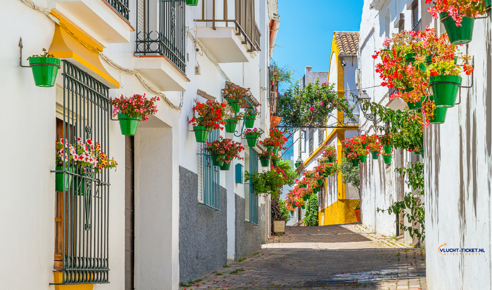 Kleurrijke straat in oude stad Malaga, perfecte sfeer voor reizigers richting Malaga