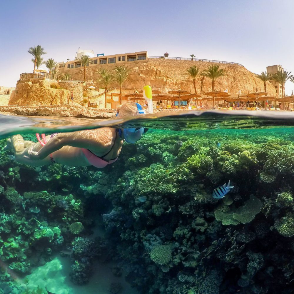 Snorkelende vrouw verkent koraalrif in Egypte – vliegtickets bestemming Egypte